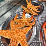 你敢相信吗？买单只要1.32元！