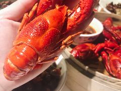 -文和友老长沙龙虾馆(化龙池店)