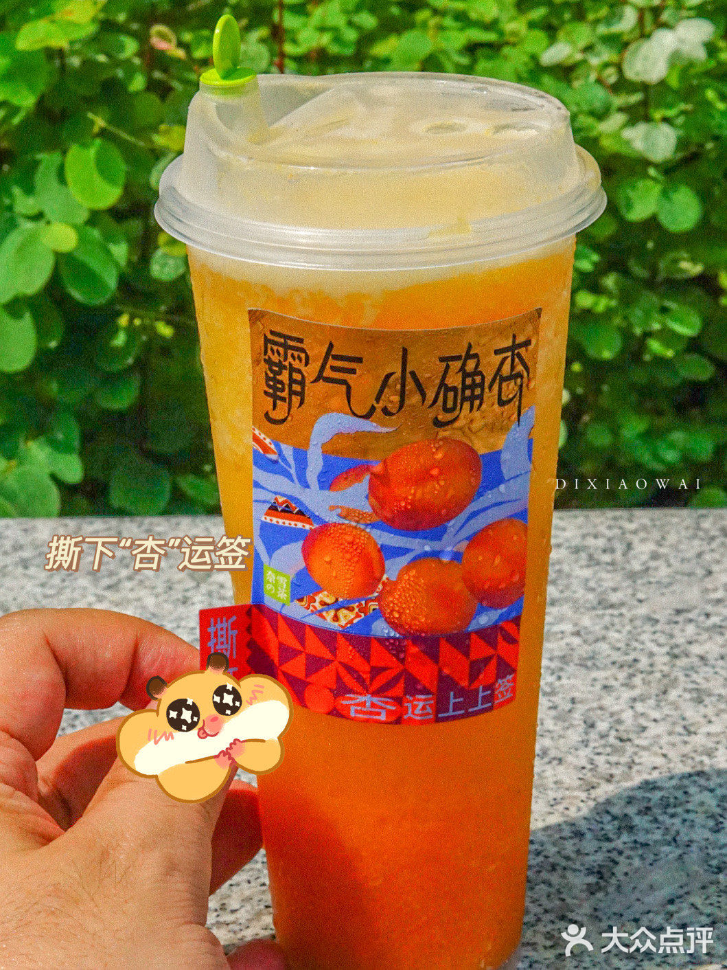 探店｜开启幸运十月👋🏻奈雪助你拿下“杏”运签📮