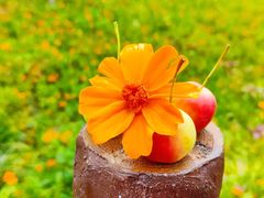 -永定河休闲森林公园