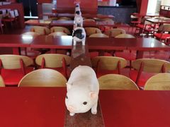 大堂-猪角·闽南猪脚饭(上梅林店)