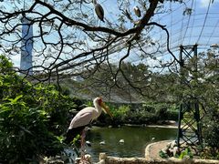 -吉隆坡雀鸟公园