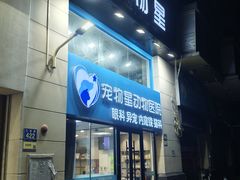 -宠物星动物医院·眼科·异宠·猫科(江南大道总院)
