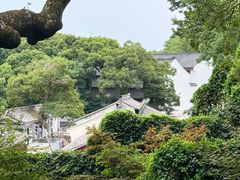-普陀山雷迪森庄园