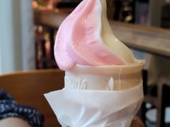 -鸽舞笙平金牌烧鸽子·融合菜(鲁谷店)