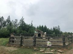 -田园东方蜜桃村的田野营地