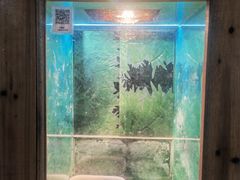 景点-上海大自然野生昆虫馆