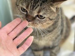 -纳吉亚猫专科动物医院博雅分院