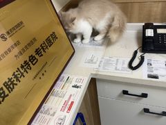 -瑞派宠物医院·24h·骨外科·皮肤科·全科宠物医疗转诊中心(沈阳浑南院)