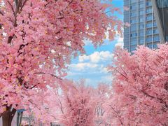 -首开·龙湖成都西宸天街
