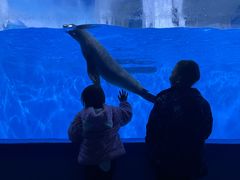 -多彩贵州城极地海洋世界