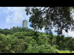 -深圳国际园林花卉博览园