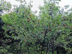 -终南山南五台景区