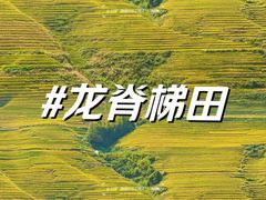 -龙脊梯田风景名胜区游客中心-停车场