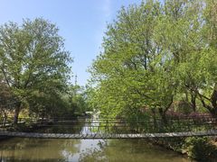 -南汇水蜜桃采摘(大团店)