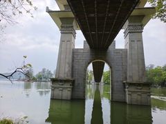 -东湖落雁景区