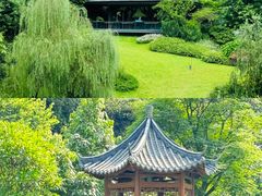 -云溪植物园