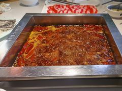 -二荆条·蜀鲜汇城市森林火锅