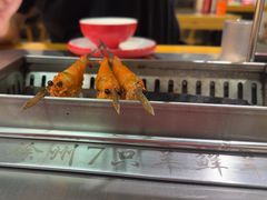 -古彭7只羊·招牌白串·碳锅羊肉旗舰店