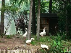 -狼山风景名胜区