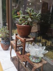 -花间禅净·瑜伽