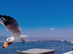 -滇池海埂公园
