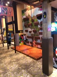 -卡通尼·Safari非洲探索乐园·生日会(金桥国际商业广场店)