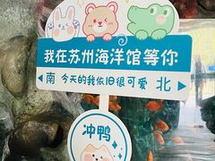 -苏州海洋馆