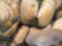 -威海渔村(黄兴路店)