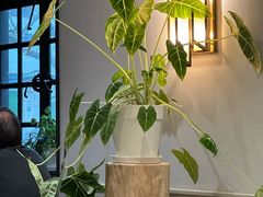 -一尺花园(安和花园店)