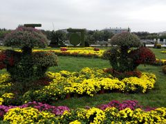 -廊坊文化艺术中心