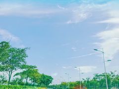 -南汇嘴观海公园