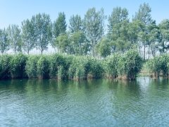 -白洋淀风景区