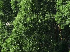 -白石龙音乐公园