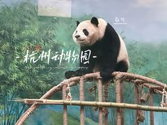 -杭州动物园