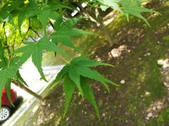 -宝界山林公园