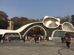 -成都大熊猫繁育研究基地