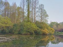 -杭州花家山庄