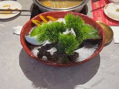 -樱煦和牛寿喜烧(如皋吾悦广场店)