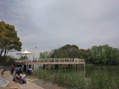 -新江湾城公园
