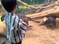 -正佳雨林生态植物园