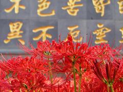 -西安大兴善寺
