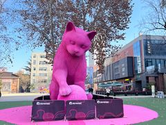 -西安电影制片厂