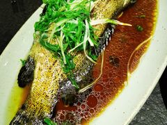 清蒸石斑鱼-潮堂 · 潮州菜(国贸商城店)