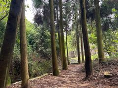 -大罗山风景区