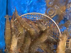 -“香”全日餐厅·株洲大汉希尔顿酒店