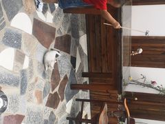 -喵屿·大理花园猫咖