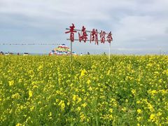 -青海湖国家重点风景名胜区