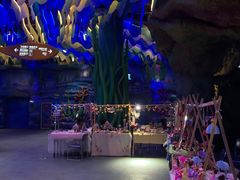 -青岛嘉年华主题乐园