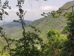 -梧桐山风景名胜区